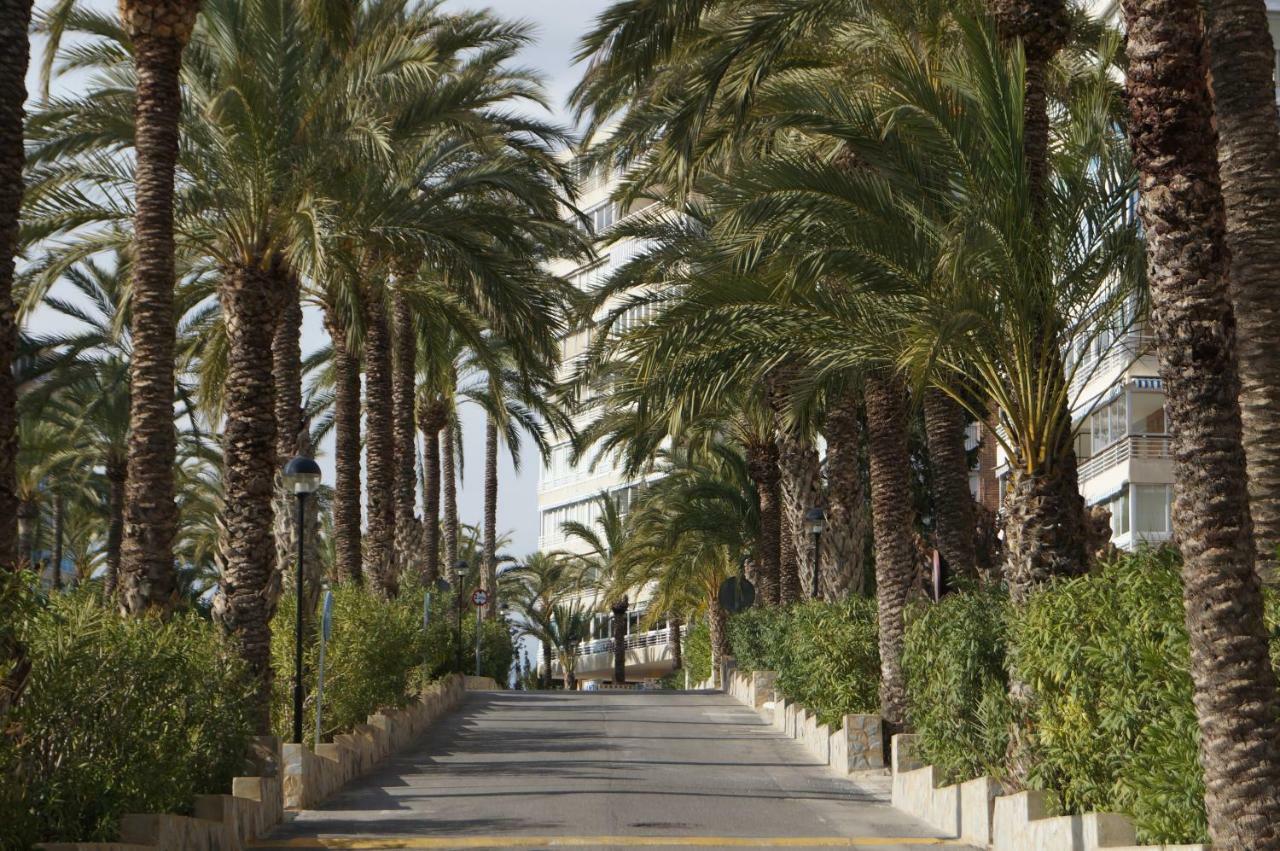Barbara 20 Playa Muchavista Alicante El Campello Exterior foto